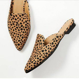 *SALE* NWT LOFT Leopard Print Studded Mules Sz 9